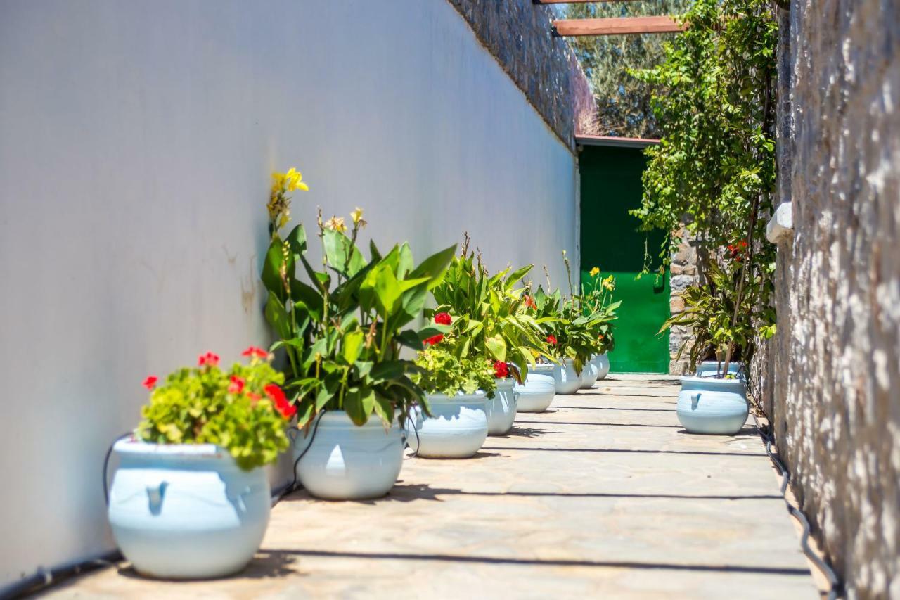 Villa Helios กาลาธอส ภายนอก รูปภาพ